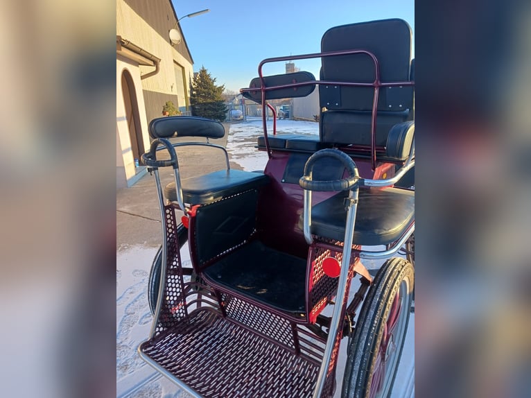 Leon von Hansmeier – Training Cart for Sale