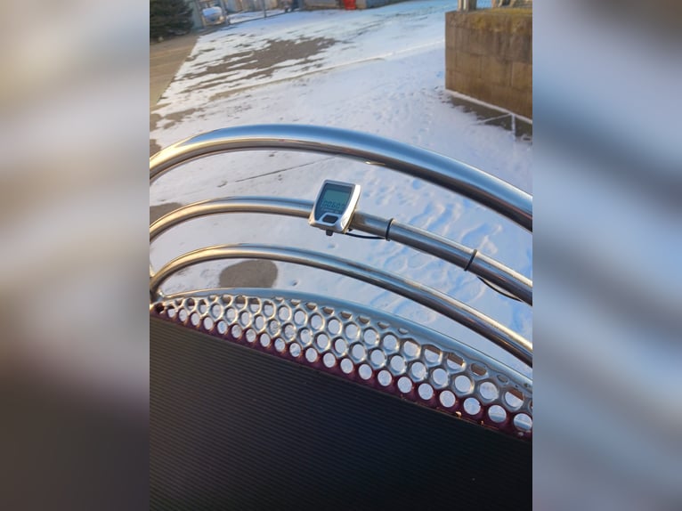 Leon von Hansmeier – Training Cart for Sale