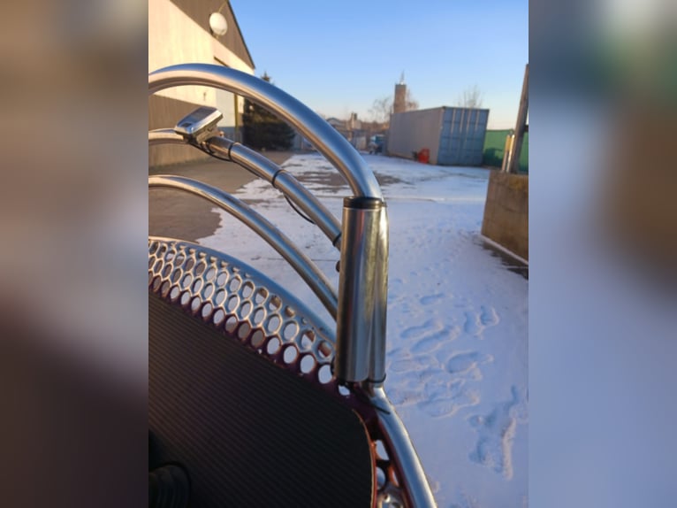 Leon von Hansmeier – Training Cart for Sale