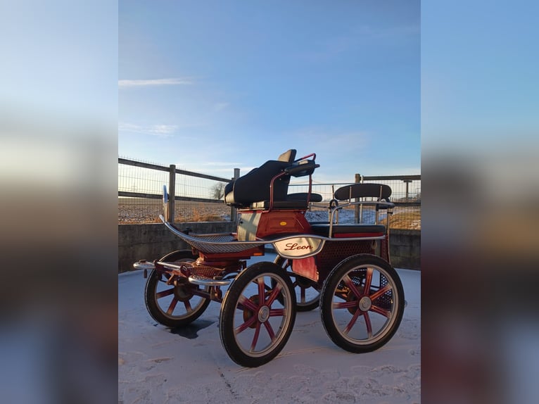 Leon von Hansmeier – Training Cart for Sale