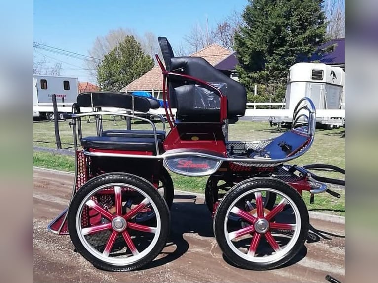 Leon von Hansmeier - Trainingswagen zu verkaufen