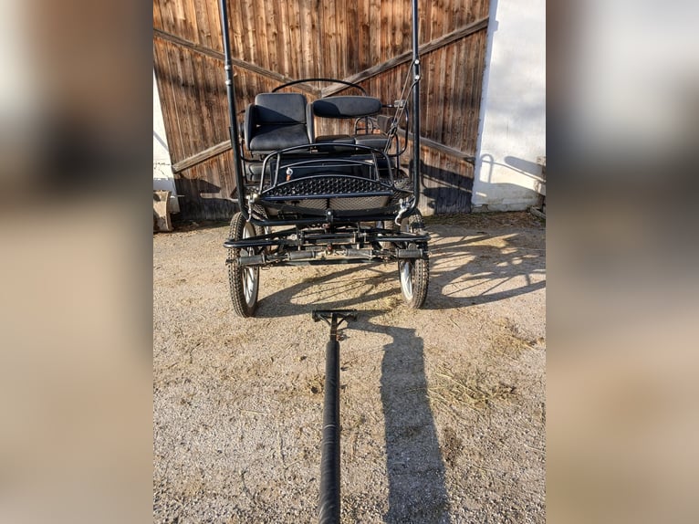 Single- and pair-horse carriage by the brand Glinkowski!