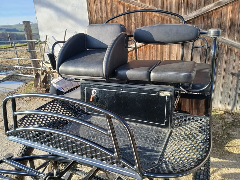 Single- and pair-horse carriage by the brand Glinkowski!