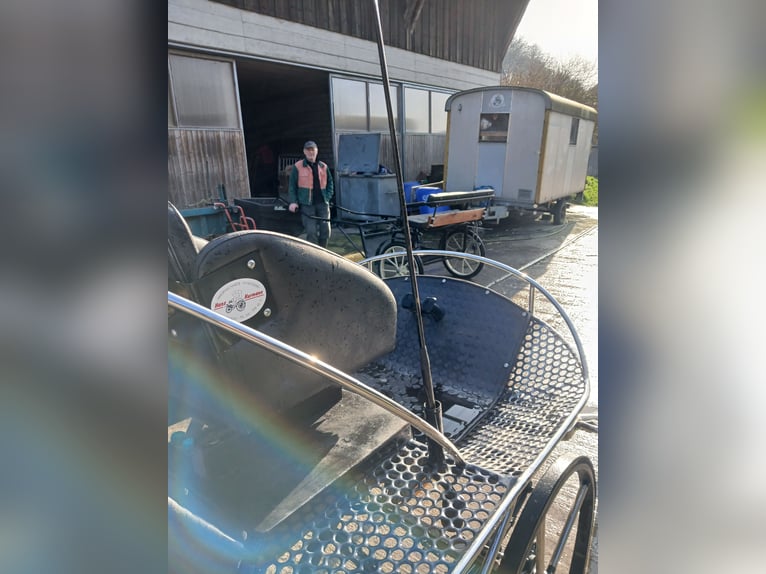 Single-seater marathon cart, excellent condition