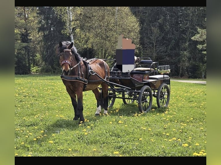 Training Carriage