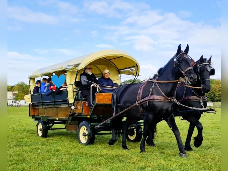 Carriage for a scenic countryside ride for sale