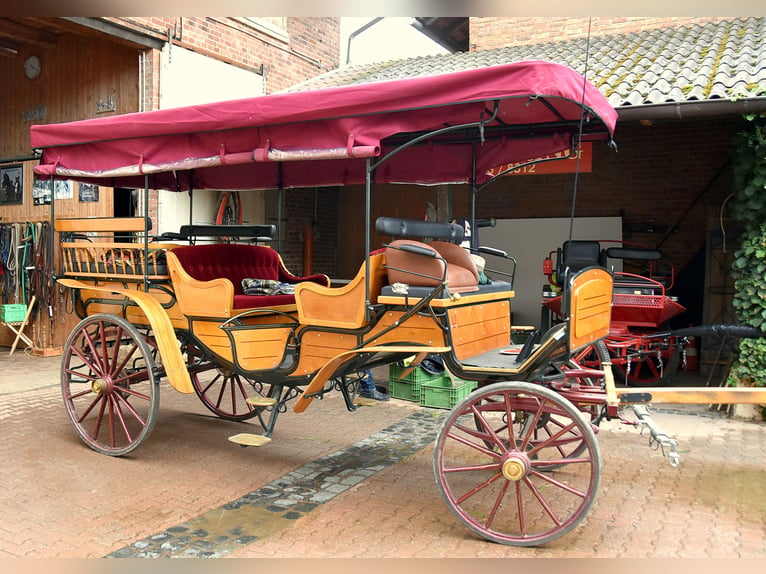 Carriage Picnic Wagon