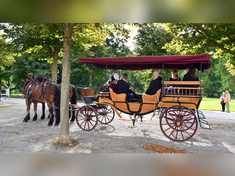 Carriage Picnic Wagon