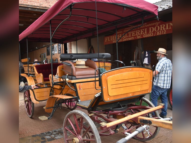 Carriage Picnic Wagon