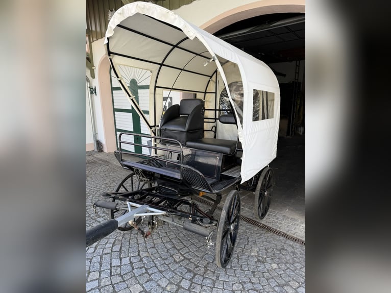 Carriage with disc brakes