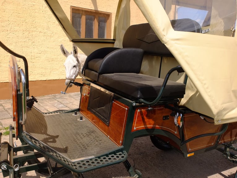 New Conestoga Wagon