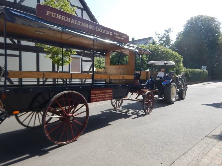 Stylish vis-à-vis carriage with a solid roof