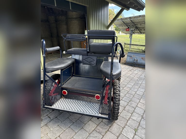 Carriage Marathon Training Cart