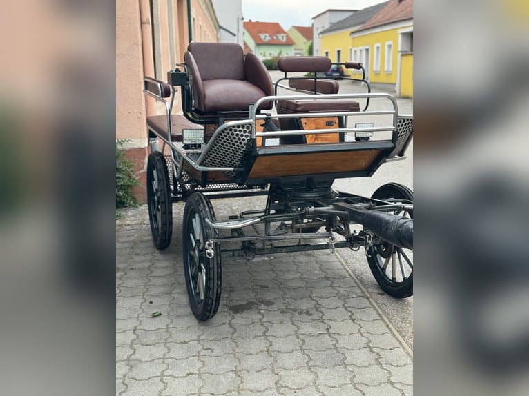 Trainingswagen/Wagonette Kutsche