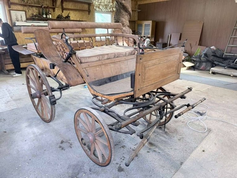 Ancient antique horse-drawn carriage / training cart