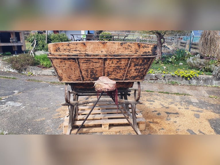 Antique horse-drawn sleigh