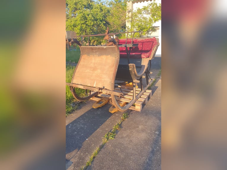 Antique horse-drawn sleigh