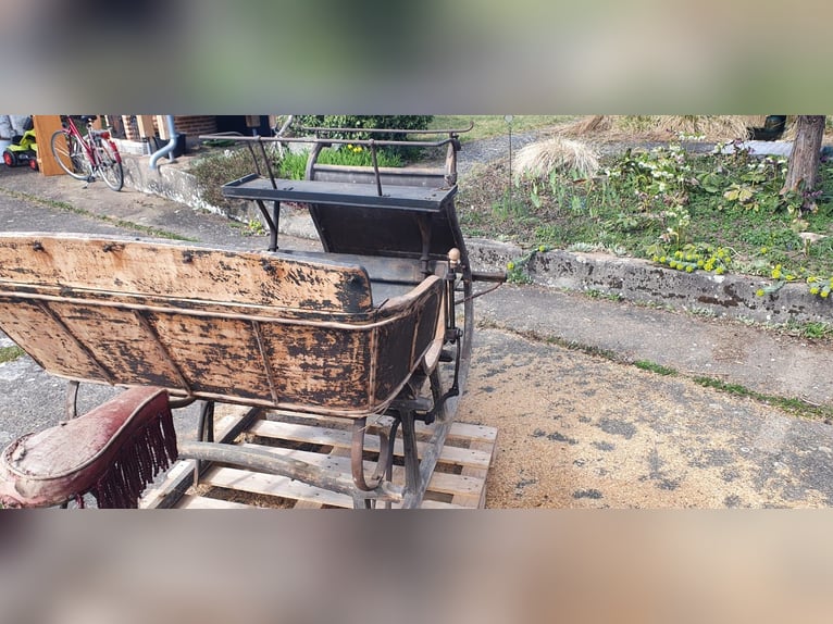 Antique horse-drawn sleigh