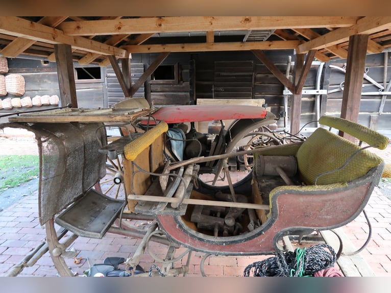 Barn find, historic horse-drawn sleigh