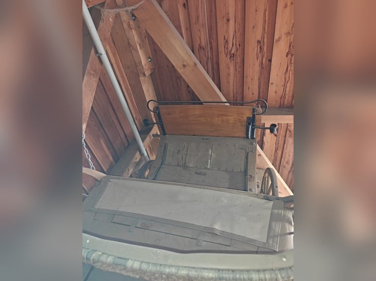 Carriage and Sleigh
