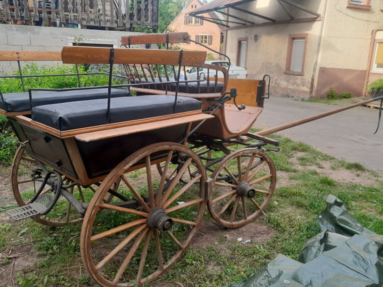 Carriage - Historic wagonette in original condition