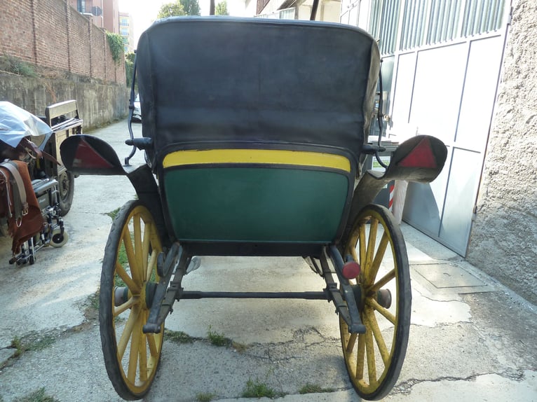 CARROZZA CAVALLI fine 1800