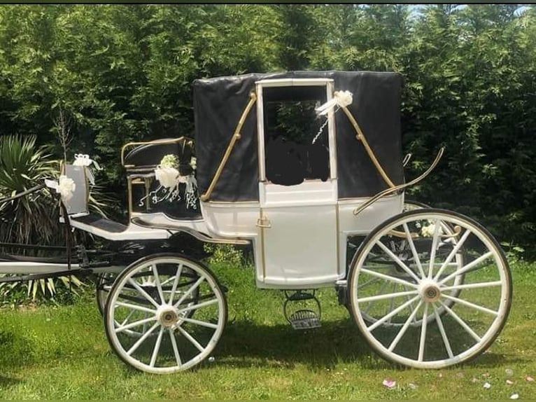 Carrozza Landau originale