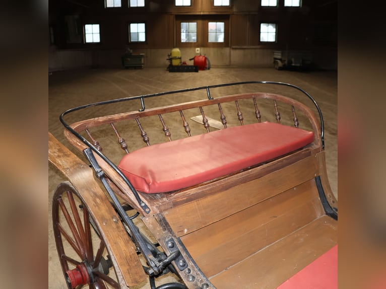 Gäuwägerl in original condition, single/double harness, historic carriage
