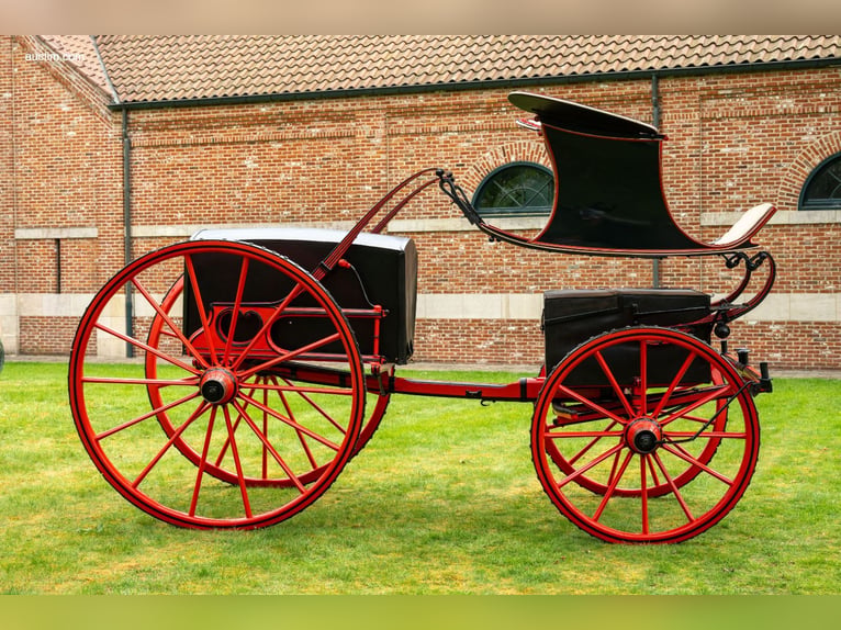 High Flyer Phaeton - 17.83 hh
