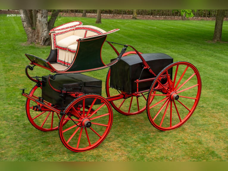 High Flyer Phaeton - 17.83 hh