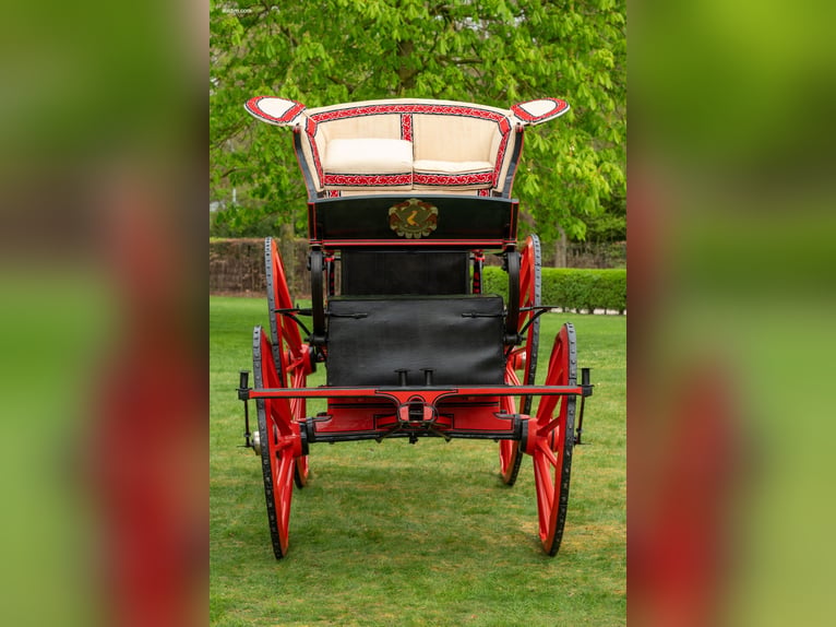 High Flyer Phaeton - 17.83 hh