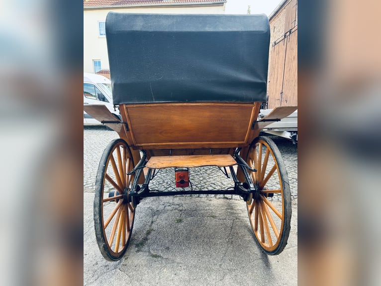 High-quality 6-seater horse-drawn carriage with leather and velvet, horse-drawn carriage