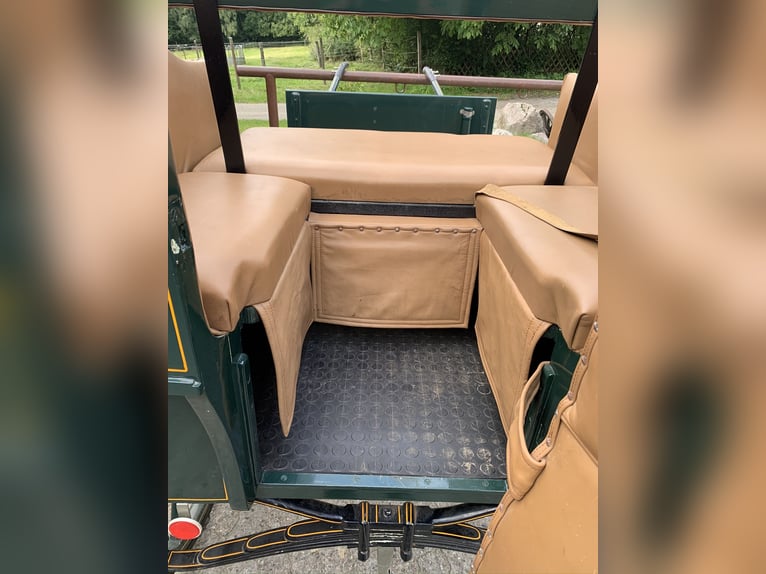 Historical carriage – Governess gig