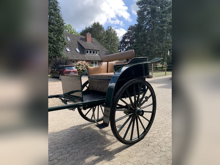 Historical carriage – Governess gig