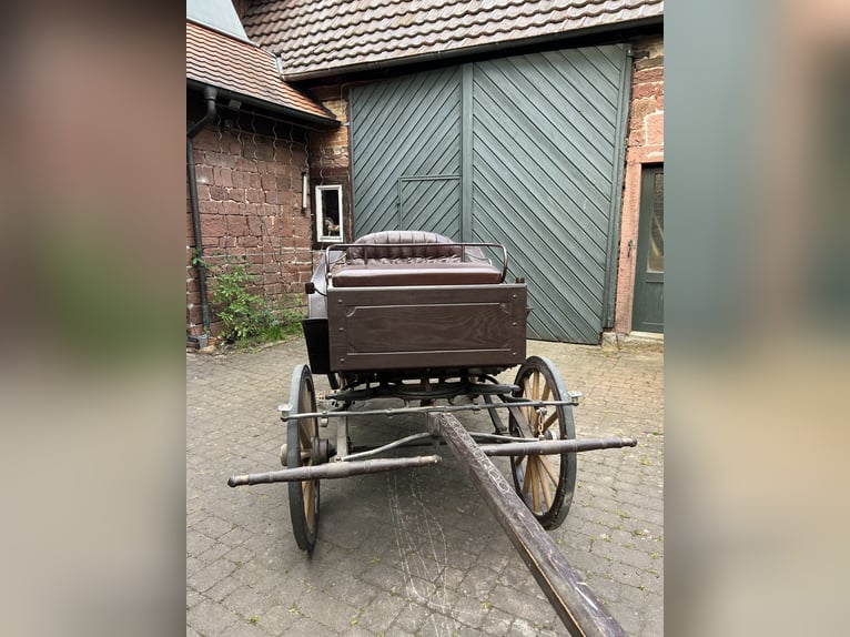 Historischer Jagdwagen