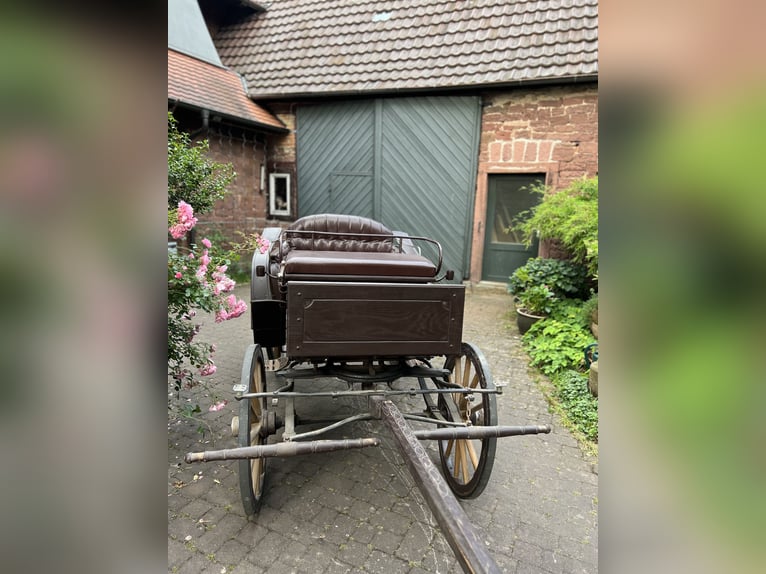 Historischer Jagdwagen