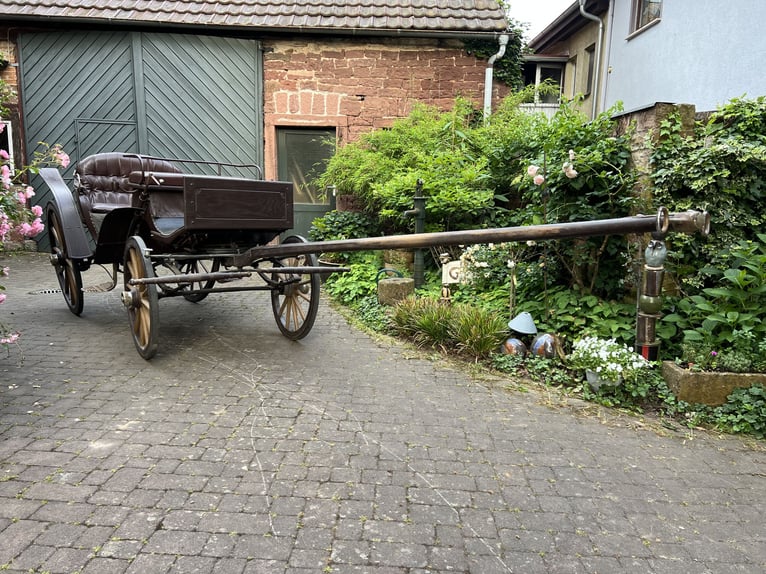 Historischer Jagdwagen