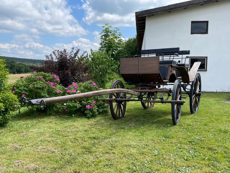 Historischer Jagdwagen/Kutsche 