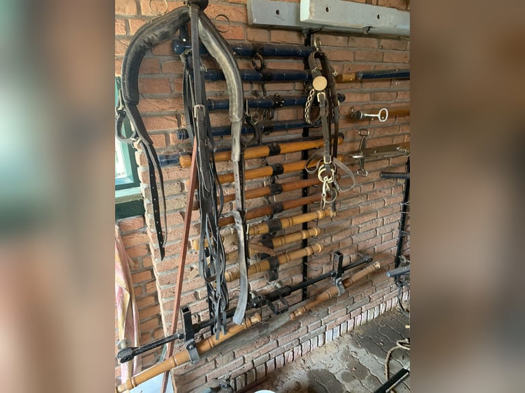 Kühnle Linzer Carriage, Hunting Carriage