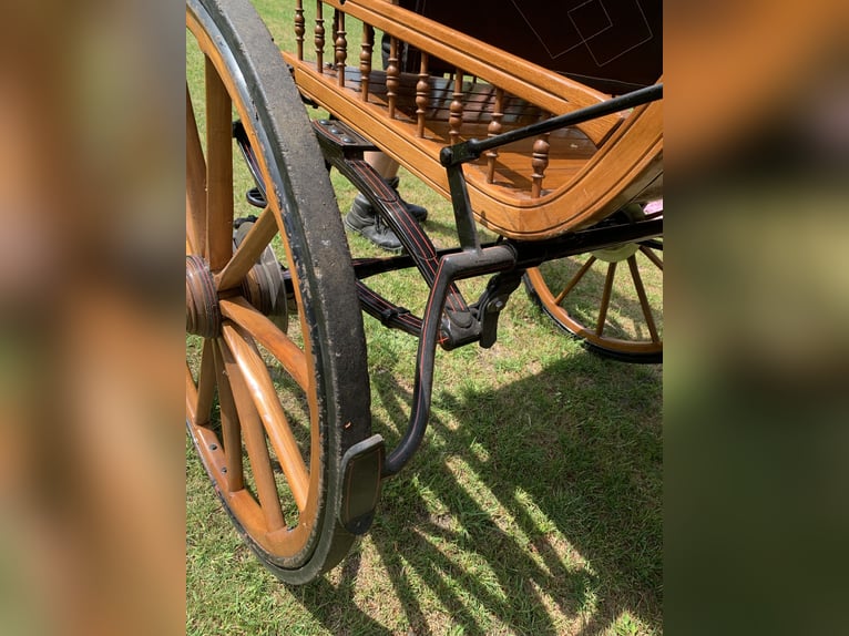 Kühnle Linzer Carriage, Hunting Carriage