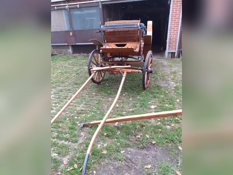 Large carriage for weddings