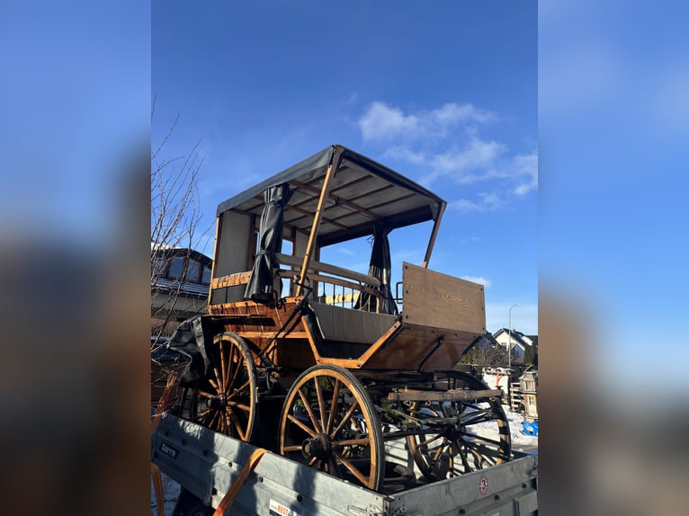 Light carriage wagonette