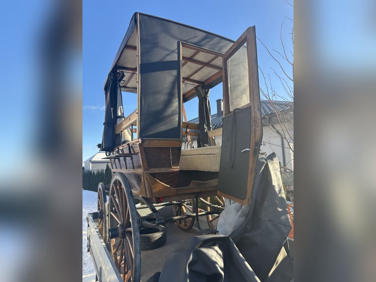 Light carriage wagonette