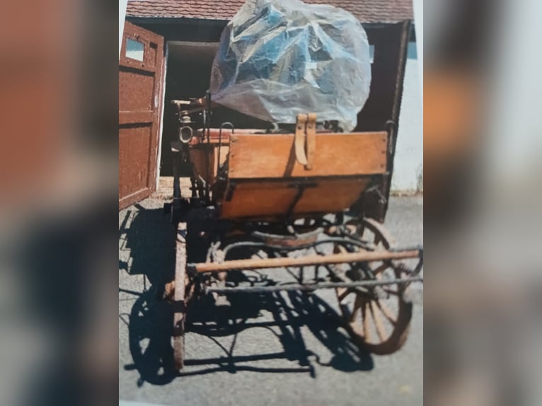 Old carriages, wagonette, doctor’s wagon