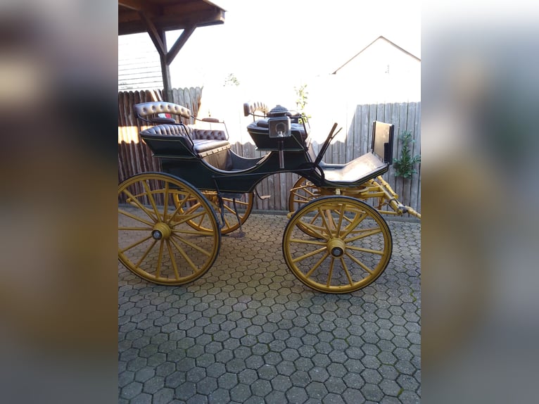 Original Siamese Hunting Carriage – G.H.W. Trimpler Lüneburg – Excellent condition – circa 1920