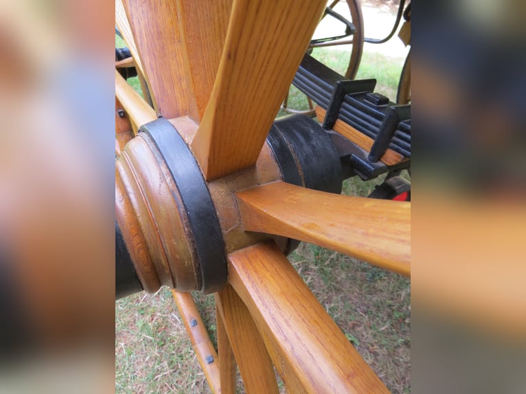 Single-seater Doctor Wagon (Sandschneider), fully restored, ideal for enthusiasts