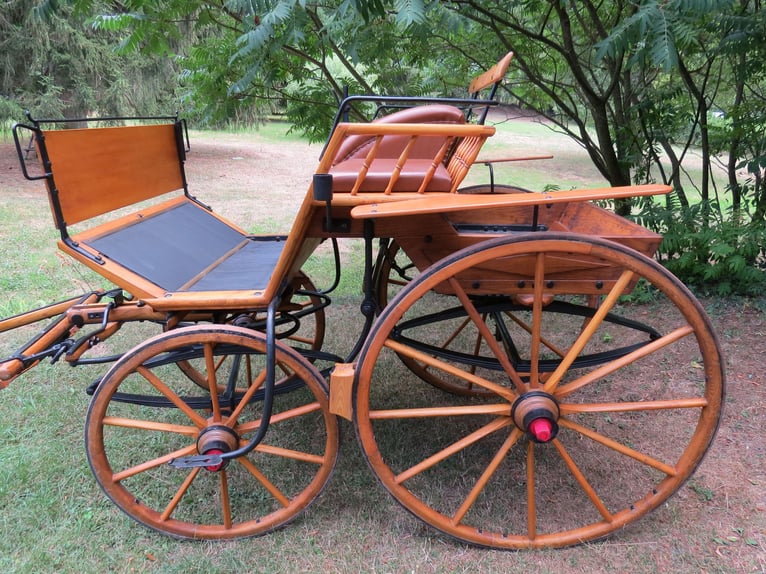 Single-seater Doctor Wagon (Sandschneider), fully restored, ideal for enthusiasts