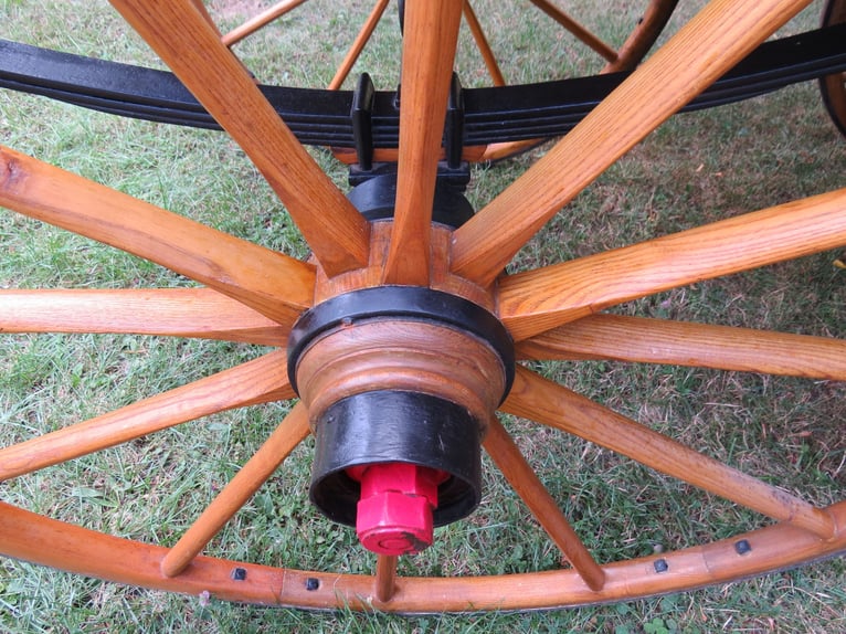 Single-seater Doctor Wagon (Sandschneider), fully restored, ideal for enthusiasts