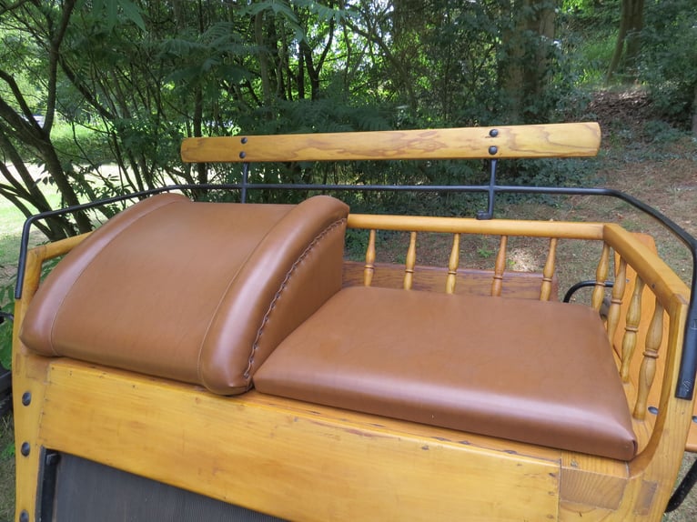 Single-seater Doctor Wagon (Sandschneider), fully restored, ideal for enthusiasts