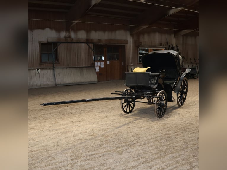 Viktoria Kutsche Mayer Munich - Historic Original Paintwork